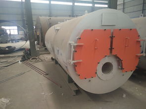 浴池專用鍋爐報(bào)價 廠家