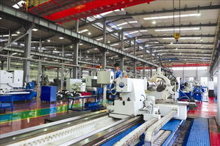 多元發(fā)展促轉型